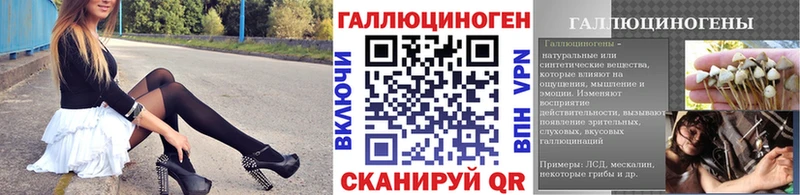 Псилоцибиновые грибы мицелий  MEGA ONION  darknet наркотические препараты  Новый Оскол 